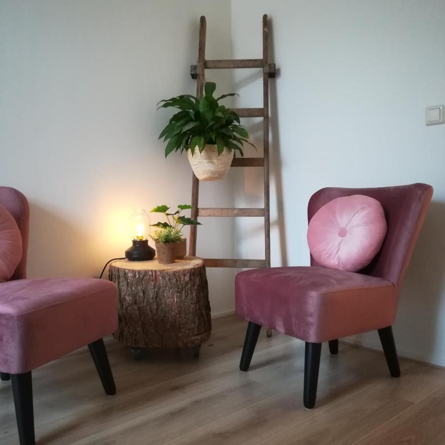 B&B Het Klontje Vriescheloo エクステリア 写真